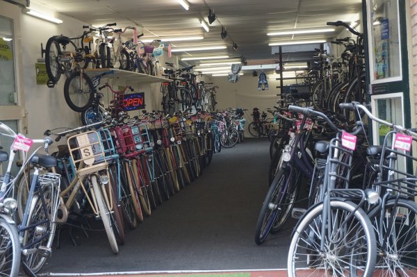 blåbär_1140.jpg blåbär_1140.jpg