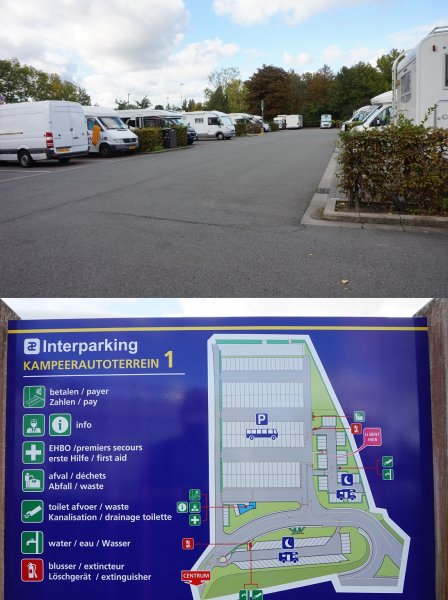 blåbär_1150.jpg blåbär_1150.jpg