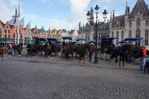 blåbär_1170.jpg blåbär_1170.jpg