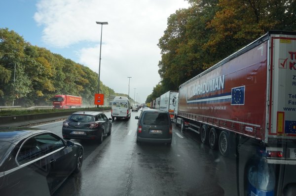 blåbär_1190.jpg blåbär_1190.jpg