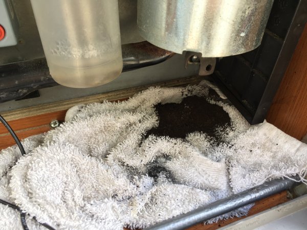 08233497-3949-4AB3-B66D-70F182D3C631.jpeg 08233497-3949-4AB3-B66D-70F182D3C631.jpeg