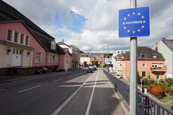 blåbär_1290.jpg blåbär_1290.jpg