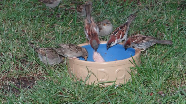 DSC00797.JPG DSC00797.JPG