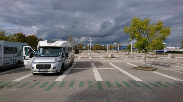 blåbär_1310.jpg blåbär_1310.jpg