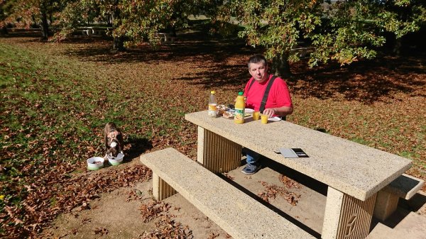 blåbär_1340.jpg blåbär_1340.jpg