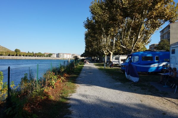 blåbär_1330.jpg blåbär_1330.jpg