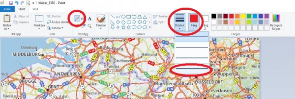 blåbär_1360.jpg blåbär_1360.jpg
