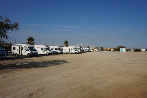 blåbär_1370.jpg blåbär_1370.jpg