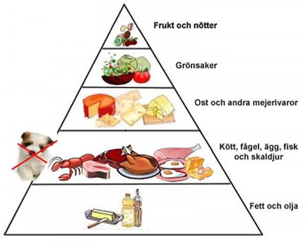 lchf-mat.jpg