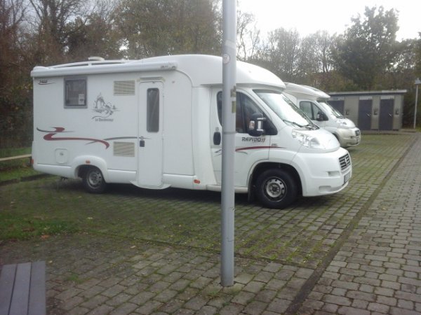 171102 Reinfeld D.jpg