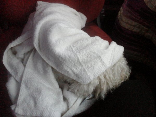 171108 blöt Rappe.jpg