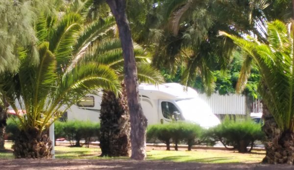 2017-11-08 11.57.07.jpg