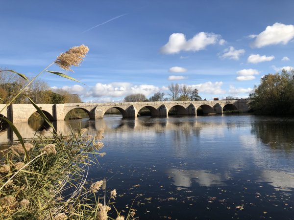 IMG_2188.JPG IMG_2188.JPG