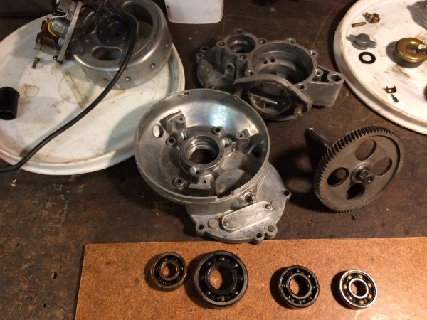 IMG_0982.JPG IMG_0982.JPG