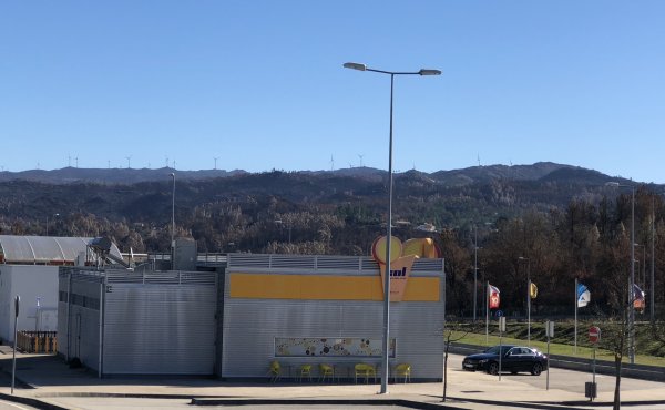 IMG_E2199.JPG IMG_E2199.JPG