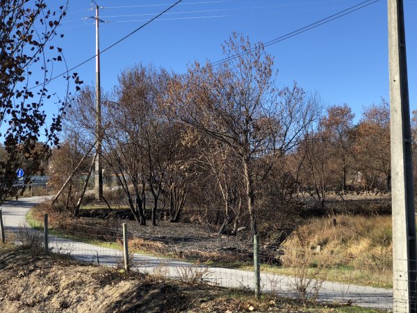 IMG_2198.JPG IMG_2198.JPG