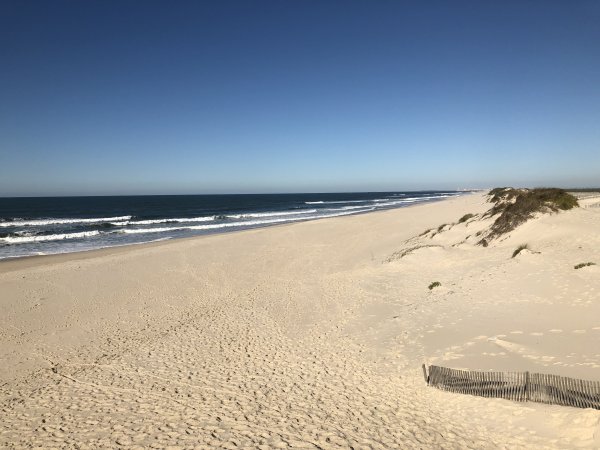 IMG_E2202.JPG IMG_E2202.JPG