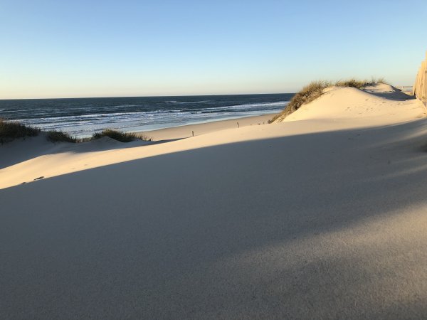 IMG_2207.JPG IMG_2207.JPG