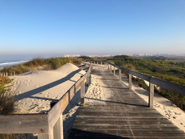 53268924736__0C43B797-2116-4A3F-97BE-195343B620F4.jpeg 53268924736__0C43B797-2116-4A3F-97BE-195343B620F4.jpeg