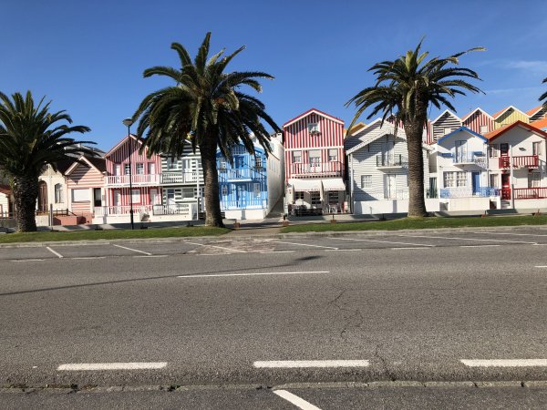 IMG_2219.JPG IMG_2219.JPG