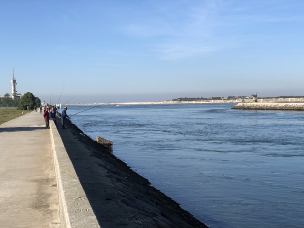 IMG_2223.JPG IMG_2223.JPG