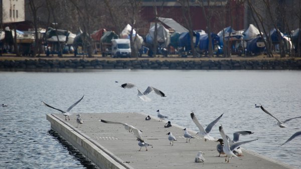 fil 2017-11-21 00 55 03.jpeg