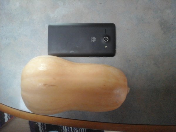 171125 Pumpa.jpg 171125 Pumpa.jpg