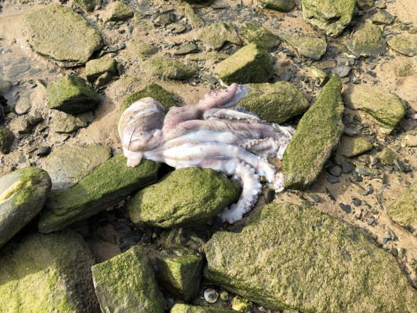 IMG_2389.JPG IMG_2389.JPG