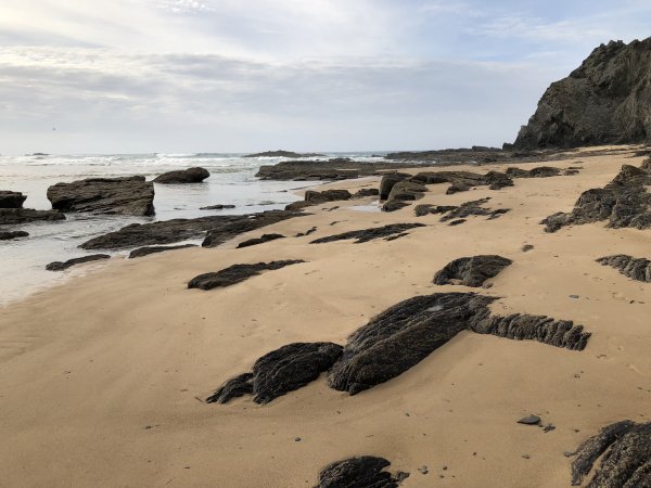 IMG_2392.JPG IMG_2392.JPG