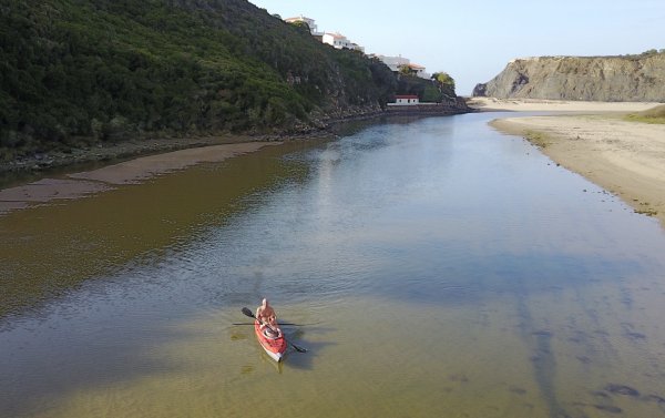 fullsizeoutput_1269.jpeg fullsizeoutput_1269.jpeg