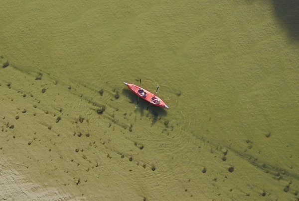 BWFLE4130.JPG BWFLE4130.JPG