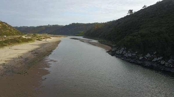 E4348016529C9A2A4A9BF1D20EC00472.jpg E4348016529C9A2A4A9BF1D20EC00472.jpg