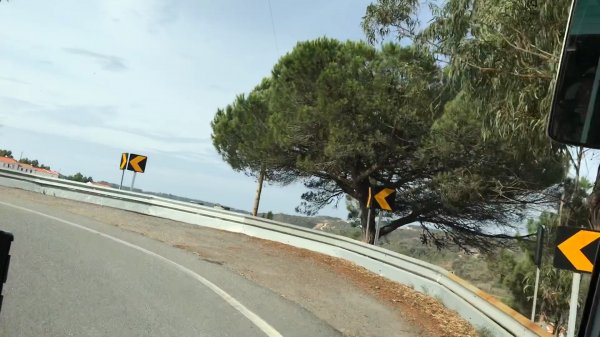 fullsizeoutput_1277.jpeg fullsizeoutput_1277.jpeg