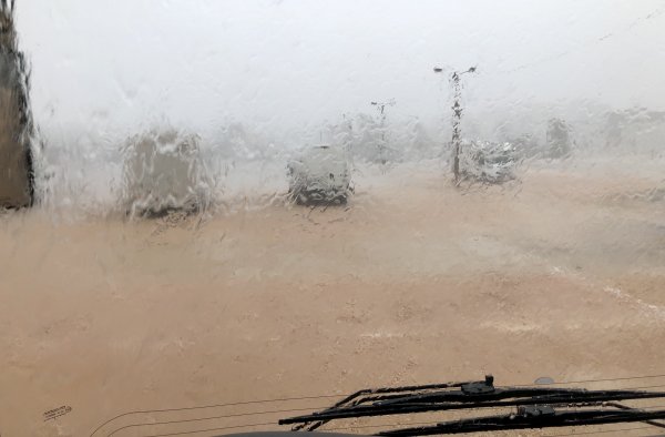 fullsizeoutput_1272.jpeg fullsizeoutput_1272.jpeg