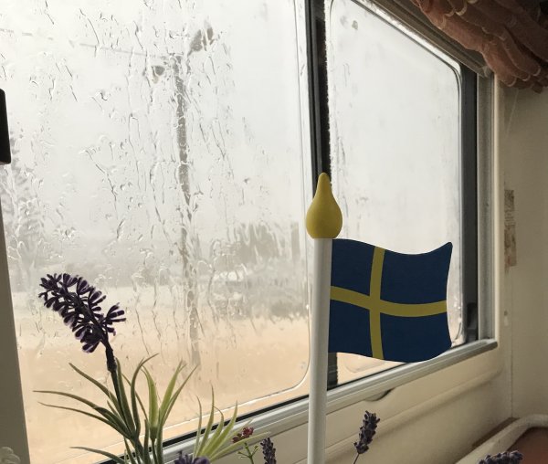 fullsizeoutput_1276.jpeg fullsizeoutput_1276.jpeg