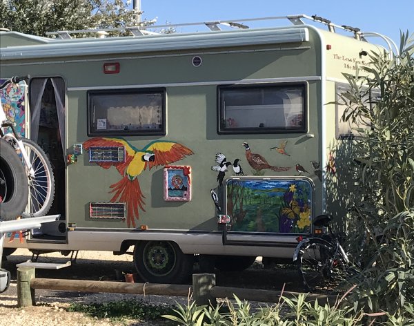 fullsizeoutput_1275.jpeg fullsizeoutput_1275.jpeg