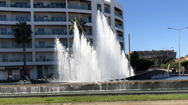 fullsizeoutput_1289.jpeg fullsizeoutput_1289.jpeg