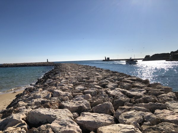 IMG_2446.JPG IMG_2446.JPG