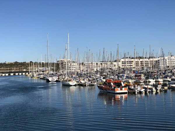 IMG_2441.JPG IMG_2441.JPG