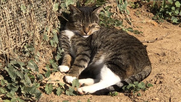 fullsizeoutput_1287.jpeg fullsizeoutput_1287.jpeg