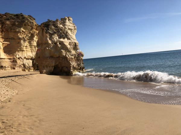 IMG_2461.JPG IMG_2461.JPG