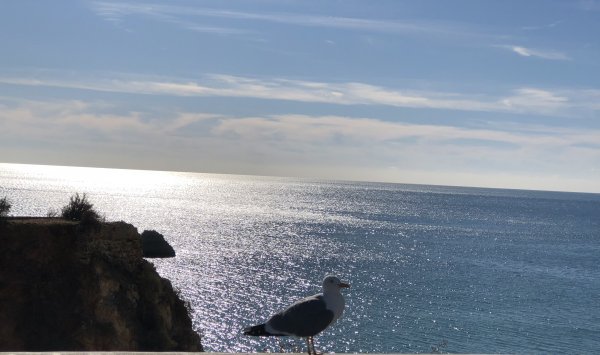 IMG_E2473.JPG IMG_E2473.JPG