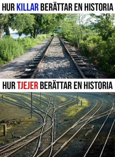 IMG_2302.jpeg IMG_2302.jpeg