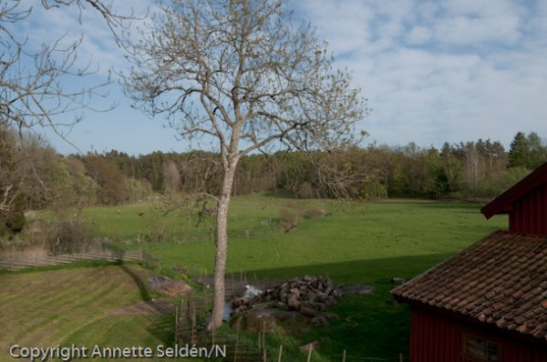 _DSC9767.jpg