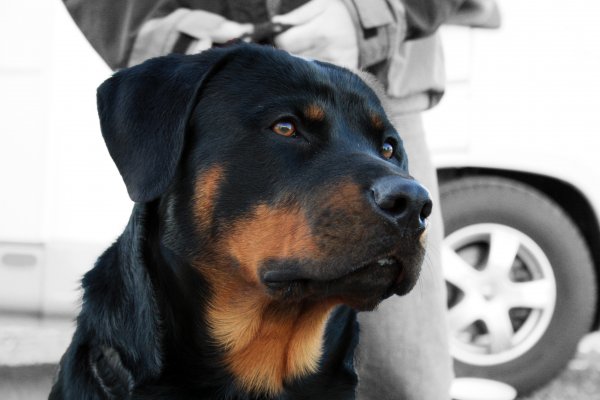 IMG_1783.jpg IMG_1783.jpg