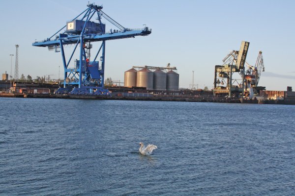 IMG_1780.jpg IMG_1780.jpg