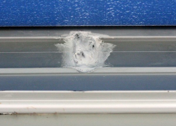 SlPlHbk05.jpg SlPlHbk05.jpg