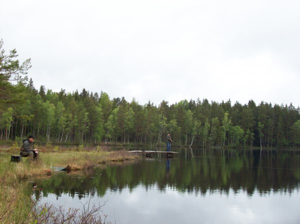 Hultsfred Fiske 030.JPG