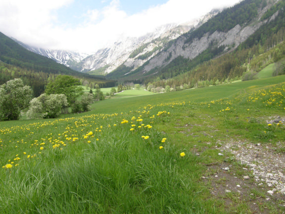 Österrike (99).jpg Österrike (99).jpg