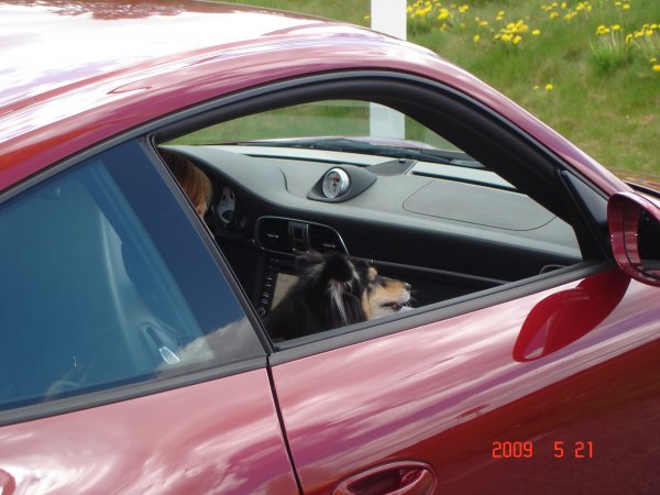 Porscheveckan 048.JPG